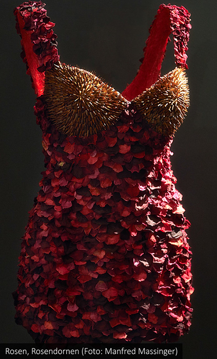 Blütenkleid - Rosen, Rosendornen