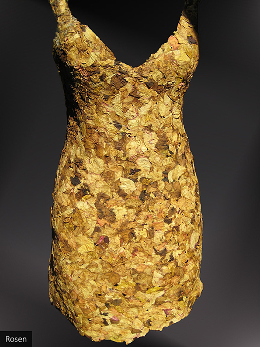 Blütenkleid - Rosen