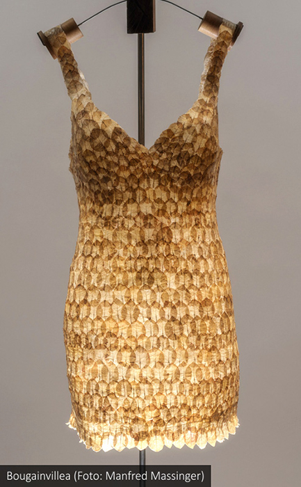 Blütenkleid - Rosen