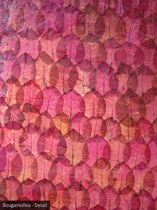 Blütenkleid - Bougainvillea - Detail