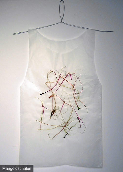 Hemd aus Japanpapier - Mangoldschalen