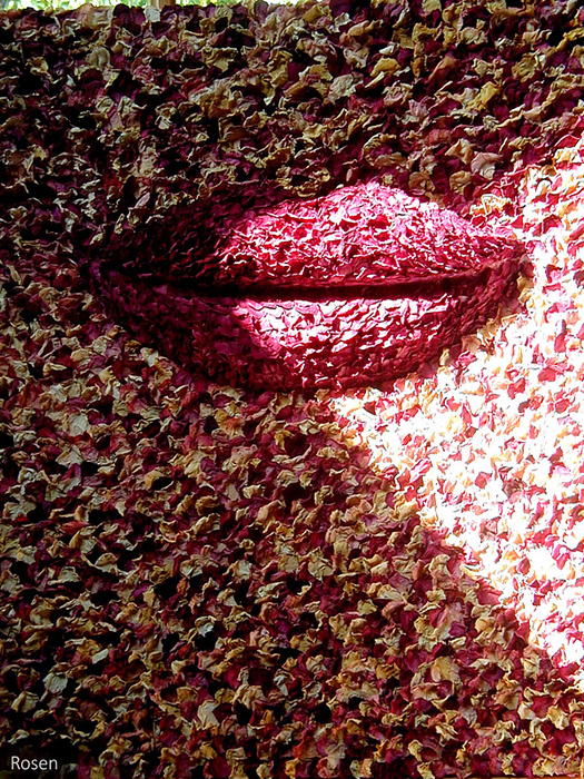 Lippen - Rosen