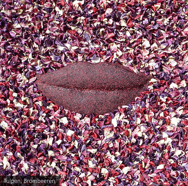 Lippen - Tulpen, Brombeeren