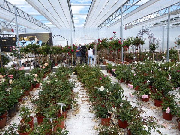 Kunst aus Blueten Doku