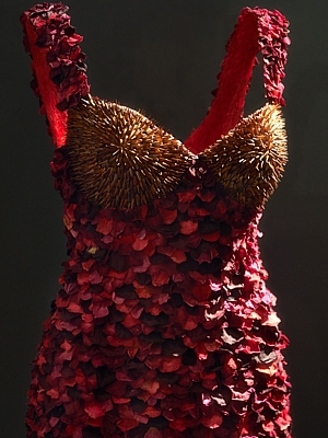 Blütenkleid - Elke Knauder